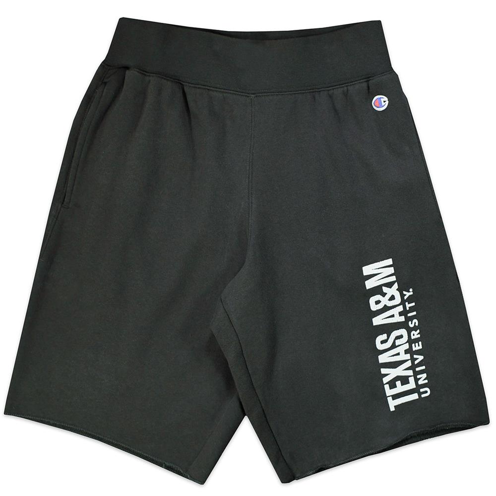champion shorts fleece