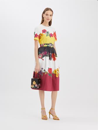 Floral Stripe Poplin Dress