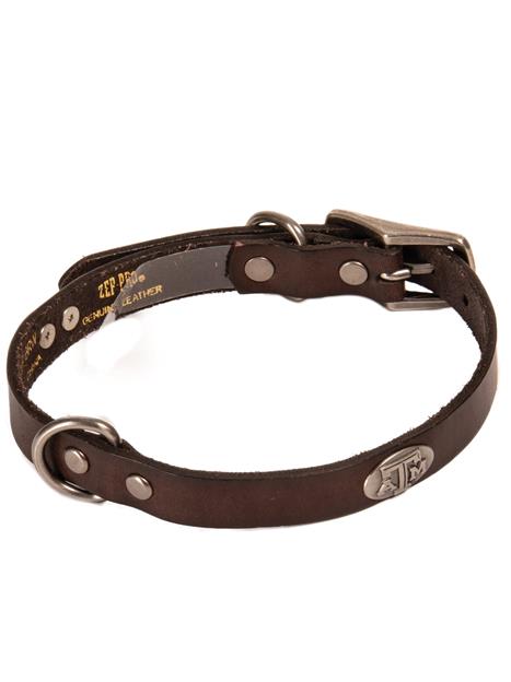 aggie dog collar