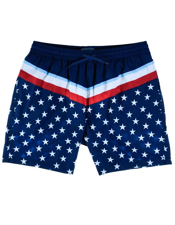 stars and stripes swim trunks